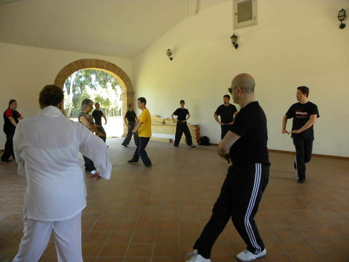 2014-06-07_08 - Kong Cheng - BaGuaZhang - Roma