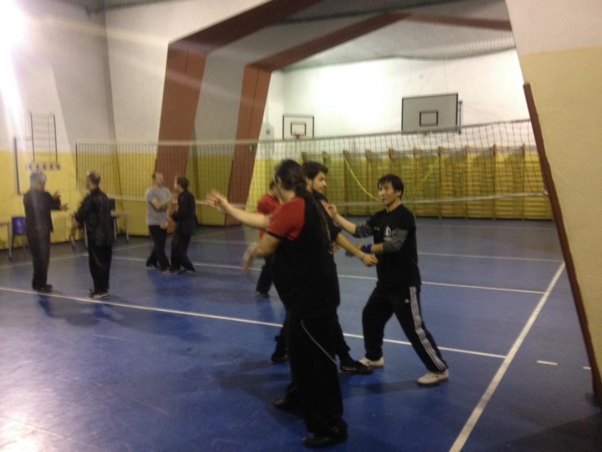 2014-12-16 - Han Yanwu - Liu He Tanglang Quan - Roma