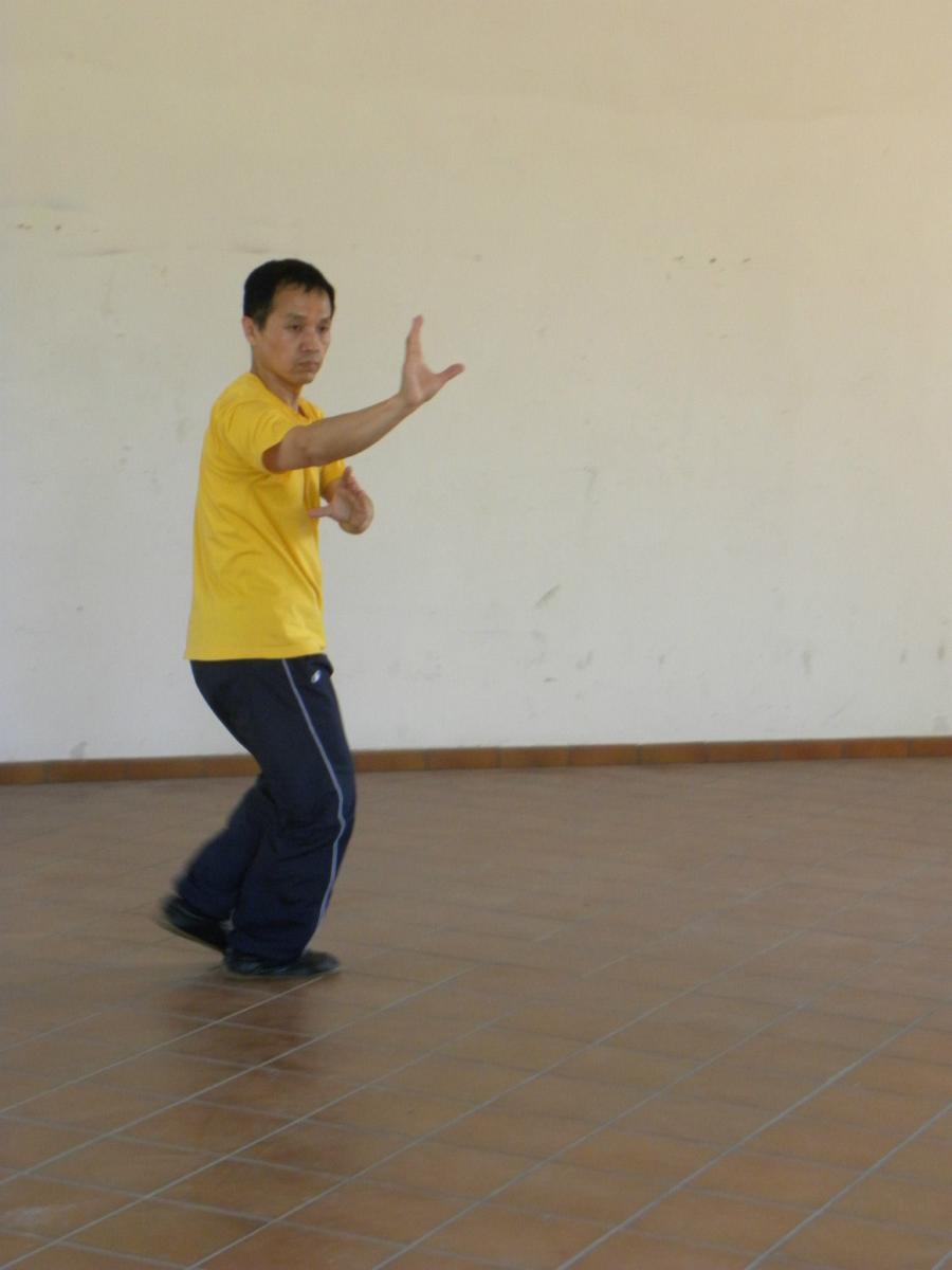 2014-06-07_08 - Kong Cheng - BaGuaZhang - Roma