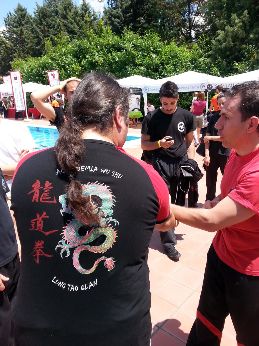 2014-06-01_02 - International Martial Arts Day (IMAD) - Roma