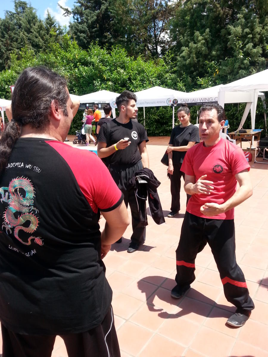 2014-06-01_02 - International Martial Arts Day (IMAD) - Roma