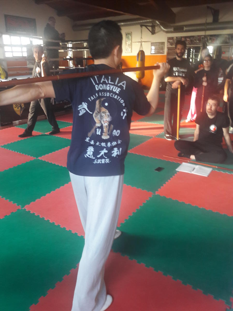 2019-02-09_10 - Xu Hao - Health Qi Gong - Taiji Stick - Roma