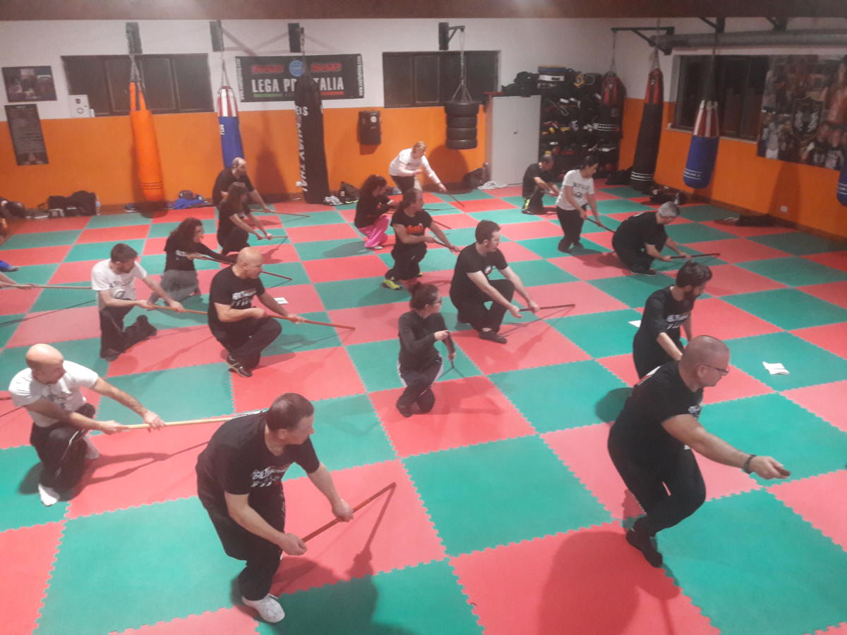 2019-02-09_10 - Xu Hao - Health Qi Gong - Taiji Stick - Roma