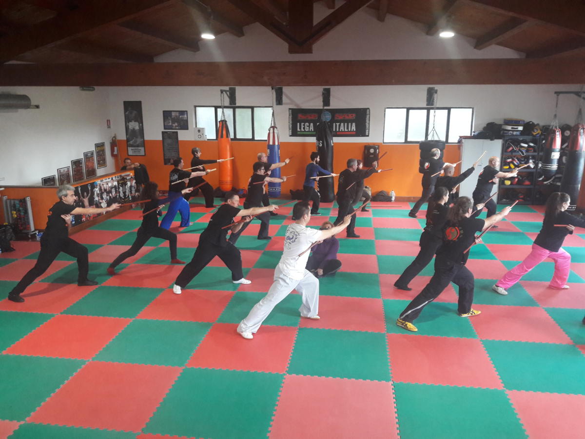 2019-02-09_10 - Xu Hao - Health Qi Gong - Taiji Stick - Roma