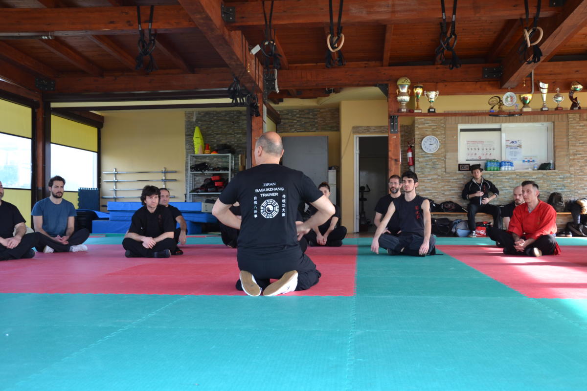2019-02-03 - Luigi Zanini - BaGuaZhang - i 3 Fondamenti - Roma