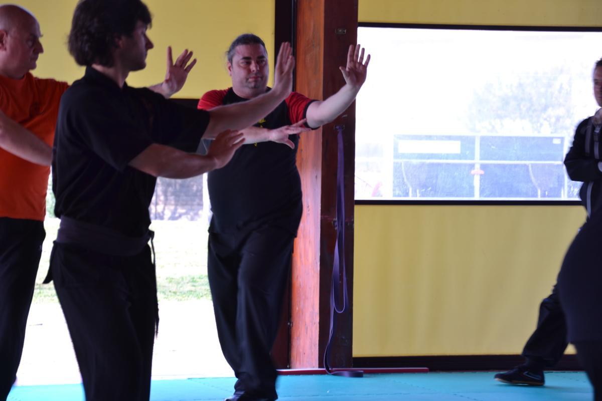 2019-02-03 - Luigi Zanini - BaGuaZhang - i 3 Fondamenti - Roma