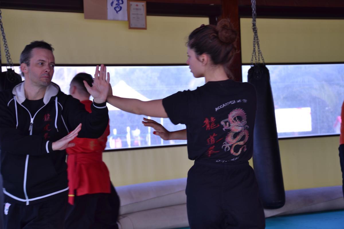 2019-02-03 - Luigi Zanini - BaGuaZhang - i 3 Fondamenti - Roma