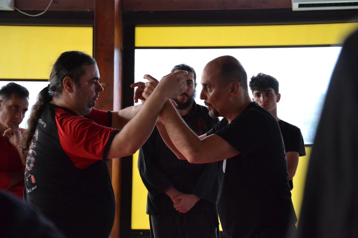 2019-02-03 - Luigi Zanini - BaGuaZhang - i 3 Fondamenti - Roma