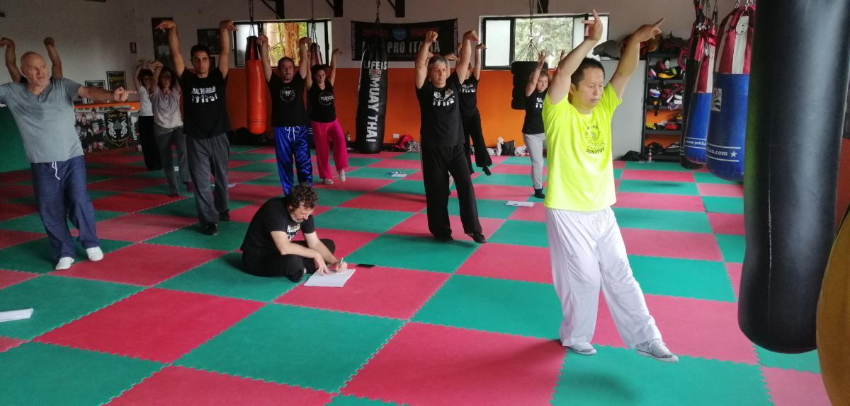 2019-09-28_89 - Xu Hao - Health Qi Gong - Mawangdui - Roma