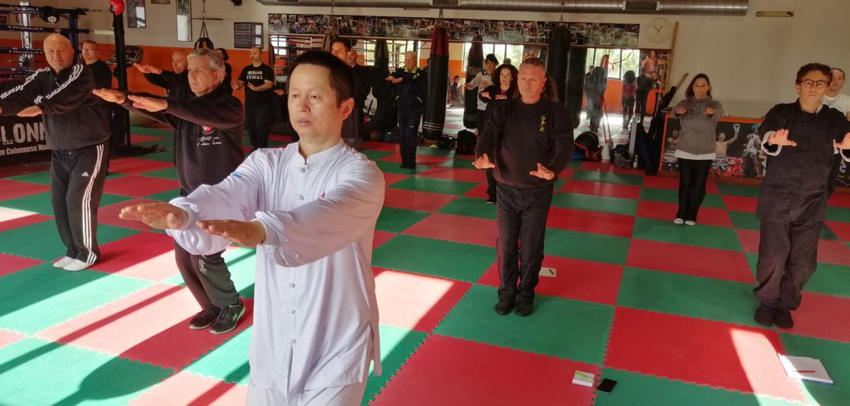 2019-12-07_08 - Xu Hao - Health Qi Gong - DaoYin YangSheng Gong 12 FA - Roma