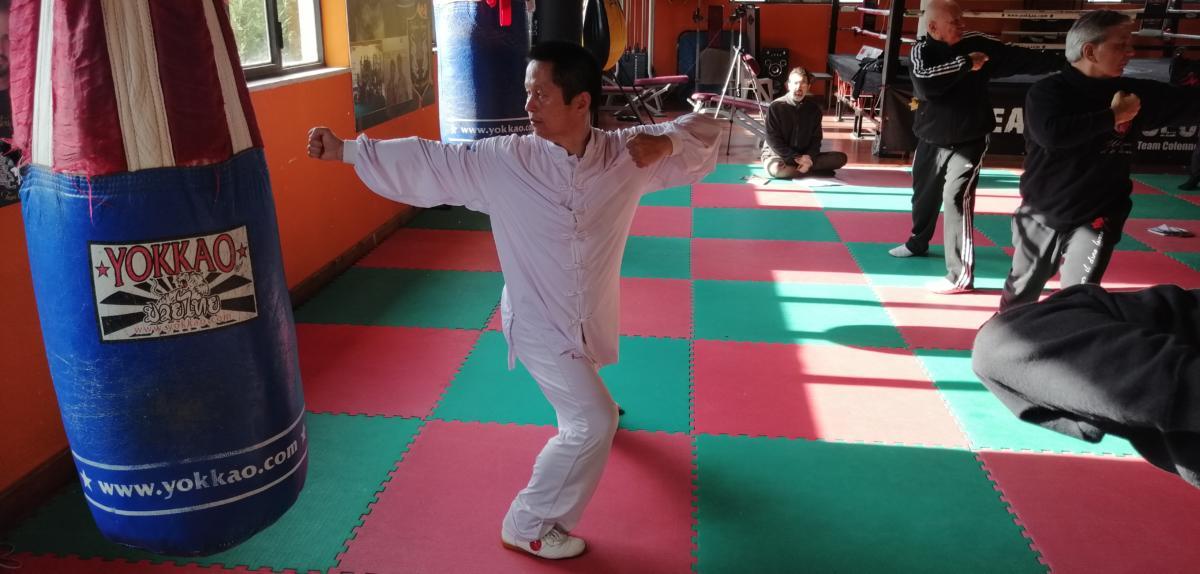 2019-12-07_08 - Xu Hao - Health Qi Gong - DaoYin YangSheng Gong 12 FA - Roma