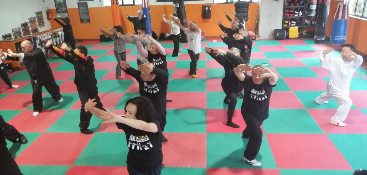 2019-12-07_08 - Xu Hao - Health Qi Gong - DaoYin YangSheng Gong 12 FA - Roma