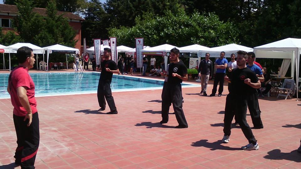 2014-06-01_02 - International Martial Arts Day (IMAD) - Roma